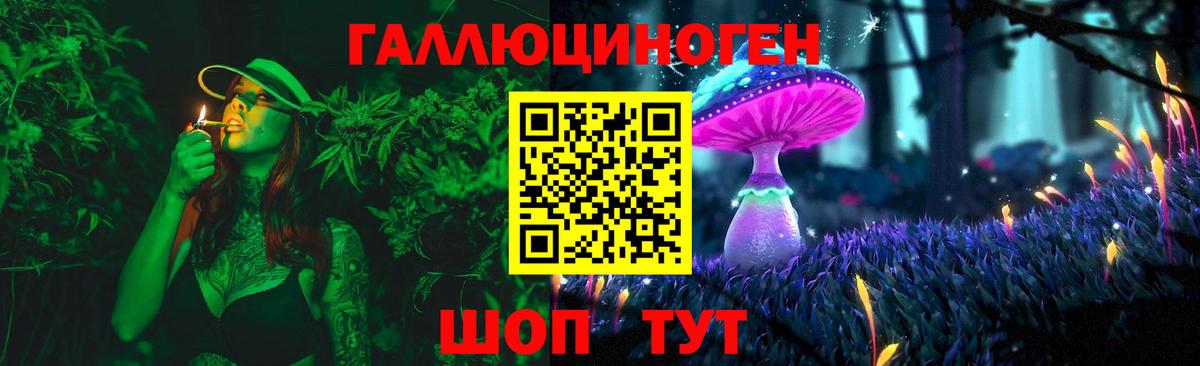 Галлюциногенные грибы мухоморы  Вход с VPN  Ачхой-Мартан 